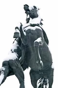 "taming of horses" Stock Photos