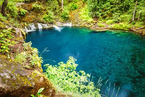 Tamolitch Pool (Blue Pool) of Willamette National Forest Foto stock