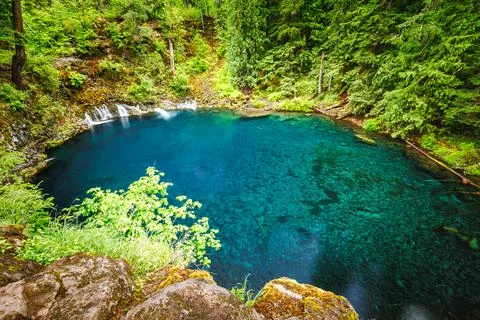 Tamolitch Pool (Blue Pool) of Willamette National Forest Stock-Fotos