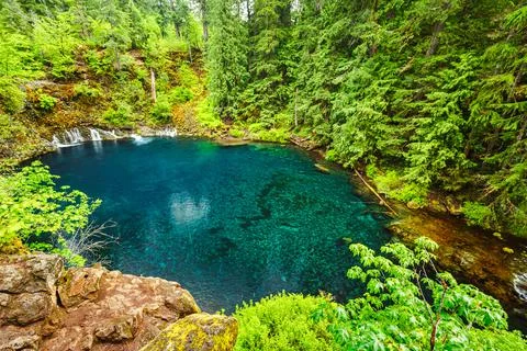 Tamolitch Pool (Blue Pool) of Willamette National Forest Stock-Fotos