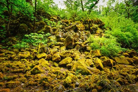 Tamolitch Pool (Blue Pool) of Willamette National Forest 스톡 사진