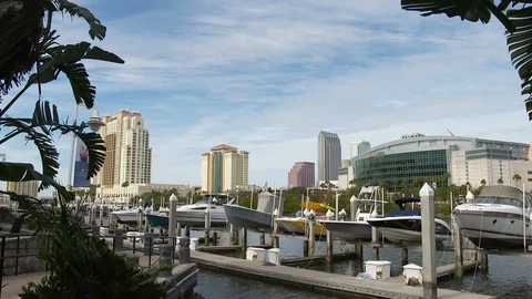 Tampa Arena Stock Footage 102587987