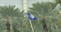 Tampa Bay Rays Flag 01 HD Footage