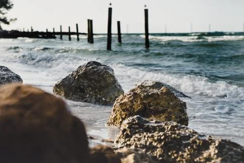 Tampa Bay Shore 库存照片
