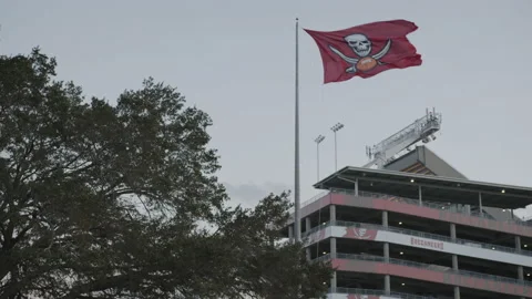 23 Tampa Bay Buccaneers Stock Video Footage - 4K and HD Video Clips