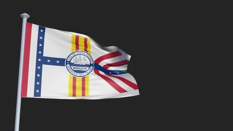 Tampa Florida - Loopable 3D flag animation with Alpha Channel and Transparenc Stock Footage 91053552