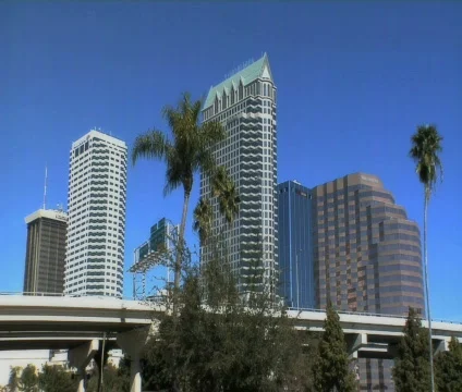 Tampa Palms Stock Footage