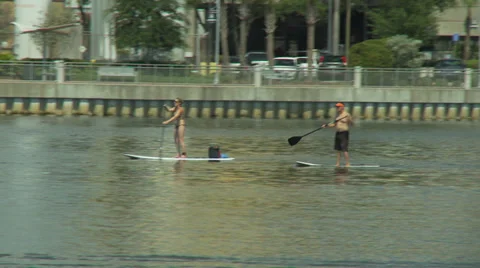 Tampa Waterfront Stock Footage 32401485