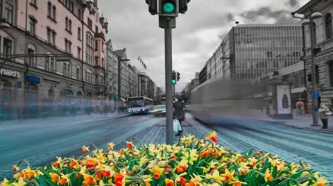 Tampere Timelapse 2 1 動画素材 11135591