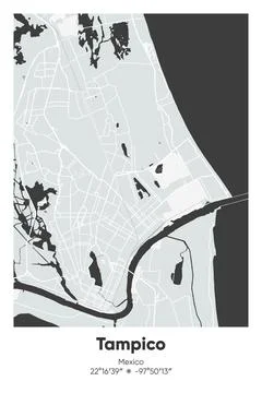 Tampico, Mexico - vector map of city in Gray, Black, White, BW colors Stock-Illustration