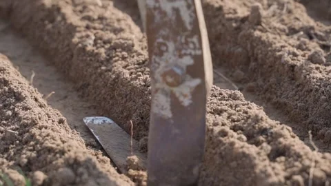 Tamping down garden bed soil before seed planting close-up Stock Footage 341078965