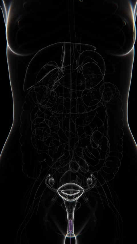 Harakatlanuvchi jinsiy qogirchoqlar