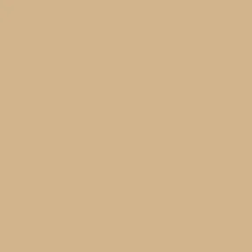 Tan Background. Seamless Solid Color Tone. Html Colors. HEX #D2B48C, R:210, G イラスト素材