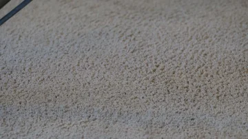 Tan carpet gets steam cleaned with vacuum moving in and out of the shot 4K Stockbeeldmateriaal 85870863