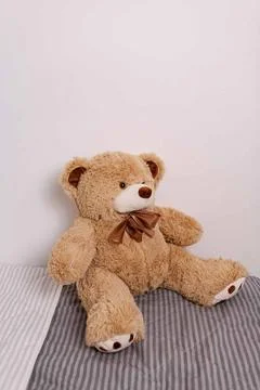 Tan teddy bear with bow sitting on bed Stock Photos