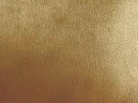 Tan texture gold paper surface close macro shot of unique high quality materi Stock Photos