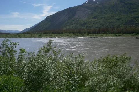 Tanana River 스톡 동영상 277962408
