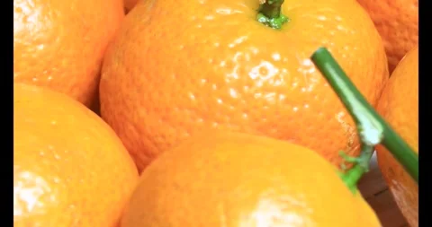 Tangerine and grapefruit on the basket Stock Footage 294659644