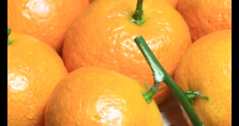Tangerine and grapefruit on the basket Video stock 294659645