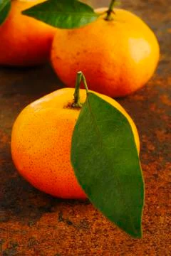 Tangerine on background Stock Photos