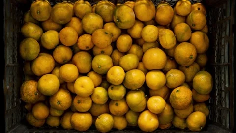 Tangerine Basket Vídeo Stock 334672816
