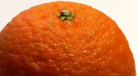 Tangerine Video stock 12498170