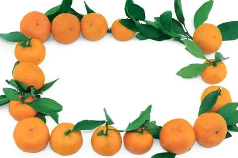 Tangerine  frame Stock Photos