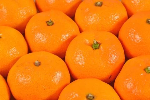 Tangerine fruit close up Stock Photos