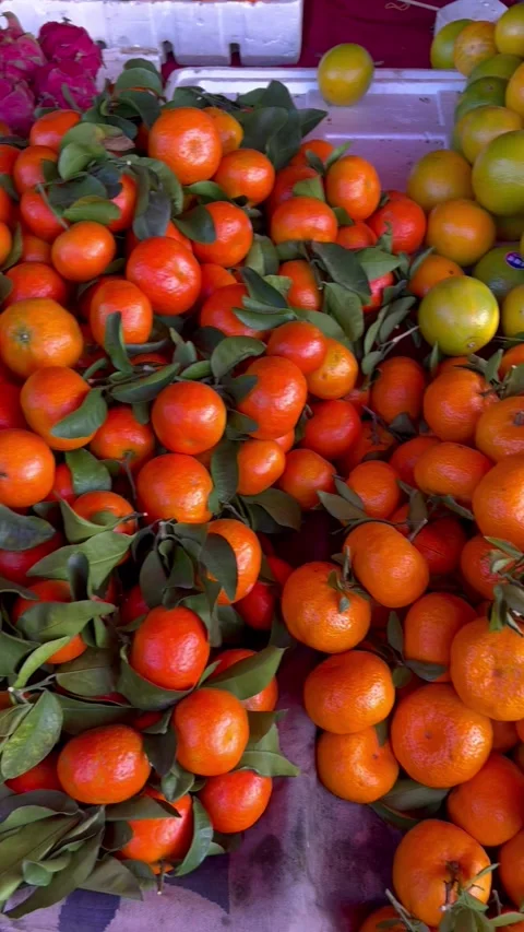 Tangerine Fruit Stock Footage 317966078