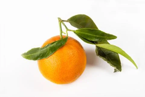 Tangerine fruit Stock Photos