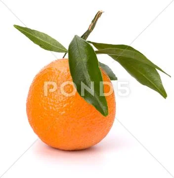 Tangerine i Stock Photos