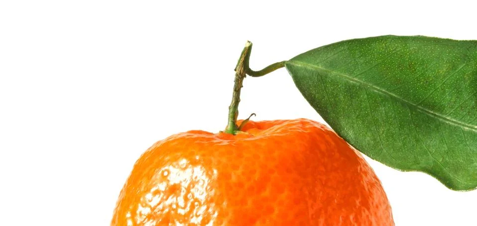 Tangerine with leaf Foto stock
