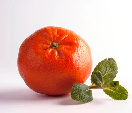 Tangerine with mint Stock Photos