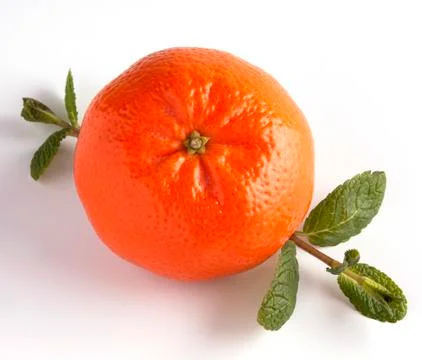 Tangerine with mint Stock Photos