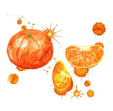 Tangerine with paint blots Stock Illustration