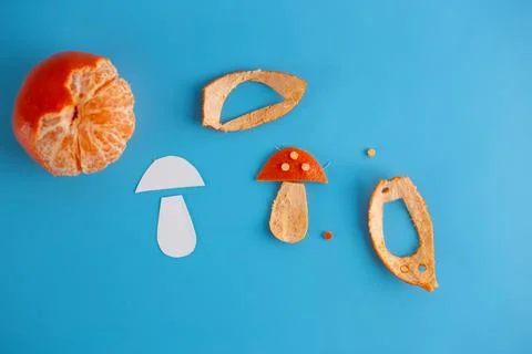 Tangerine peel craft, tutorial, top view Stock Photos