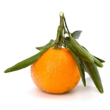 Tangerine Stock Photos