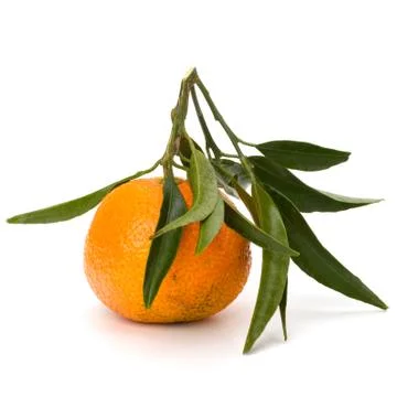 Tangerine Stock Photos