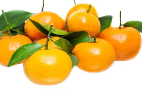 Tangerine Stock Photos