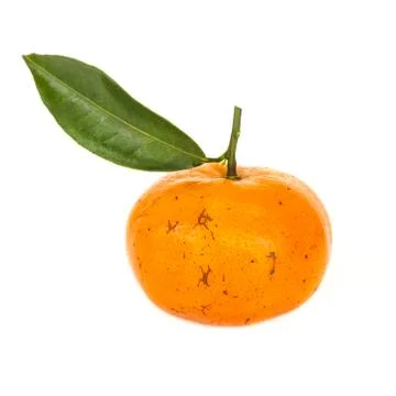 Tangerine Stock Photos
