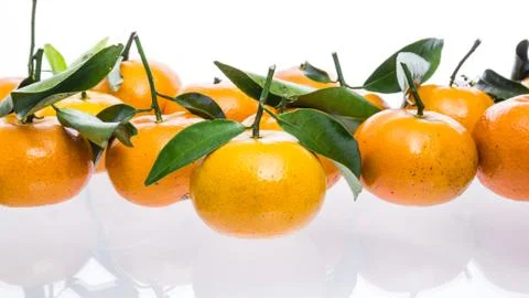 Tangerine Stock Photos