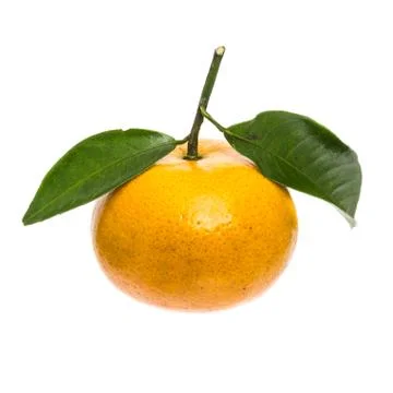 Tangerine Stock Photos