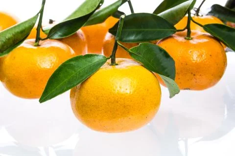 Tangerine Stock Photos