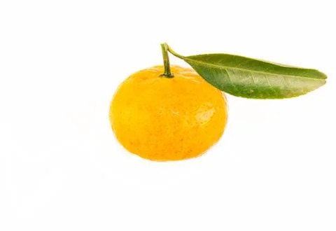 Tangerine 库存照片