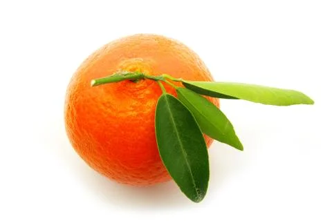 Tangerine Stock Photos