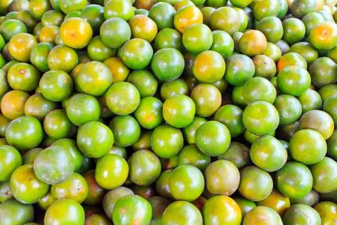 Tangerine Stock Photos