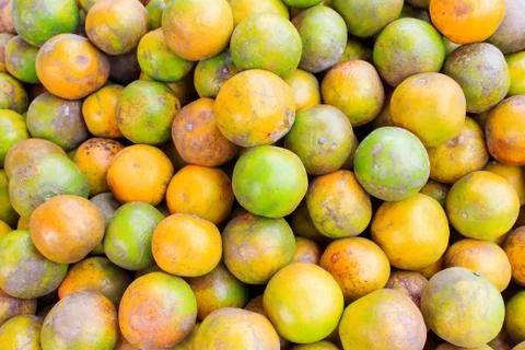 Tangerine Stock Photos