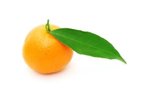 Tangerine Stock Photos