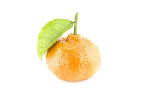 Tangerine Stock Photos