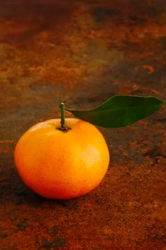 Tangerine Stock Photos